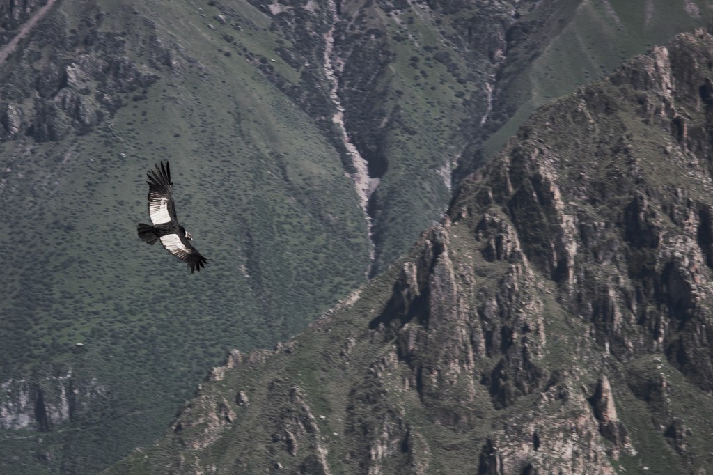 Perú: una aventura que nunca&nbsp;falla