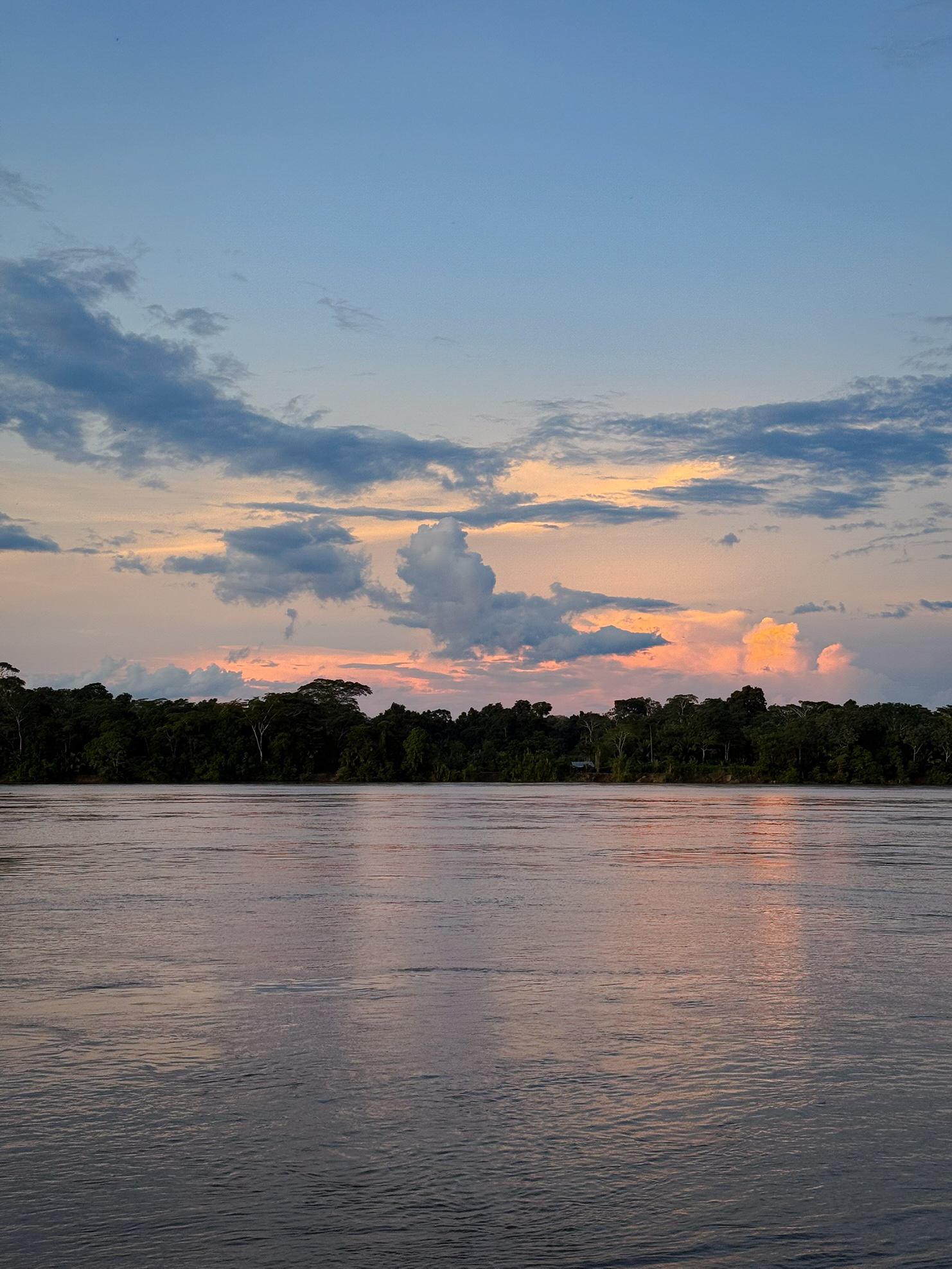 Ecolucerna Lodge: una experiencia inolvidable en la Amazonía